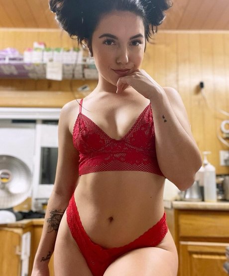 Calyopeia top star galerie