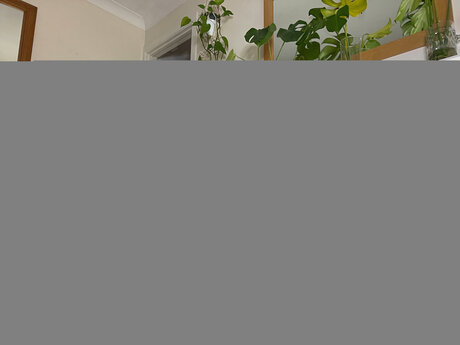 Theedenn étoile photos