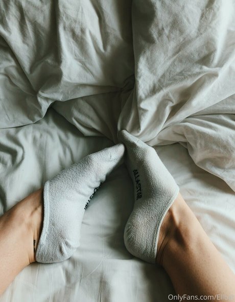 Ellbat étoile magnifique archive