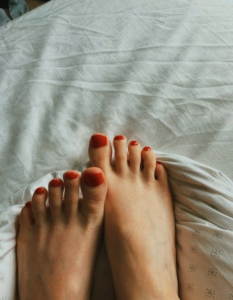 Ellbat étoile adulte images