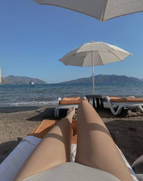 palmoliff nus star du porno photos