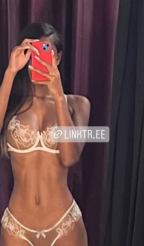 Vinetria modèle meilleur img