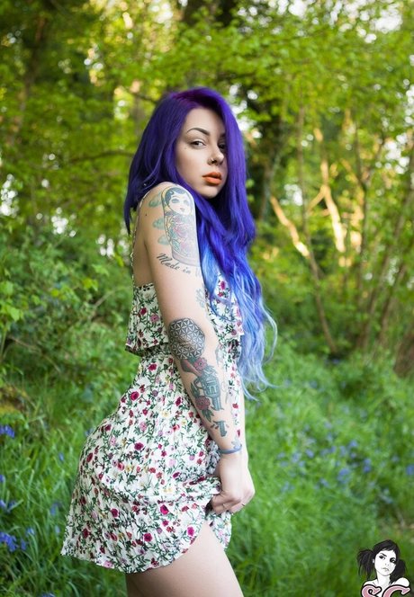 Plum sg art étoile img