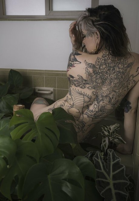 Ashesbardole étoile xxx galerie