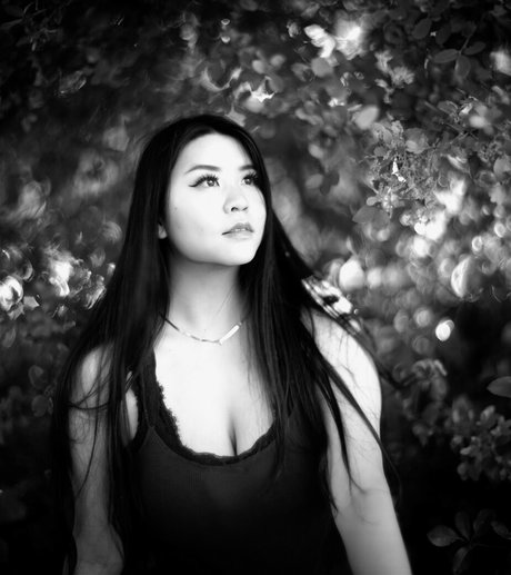 Windellia étoile xxx archive