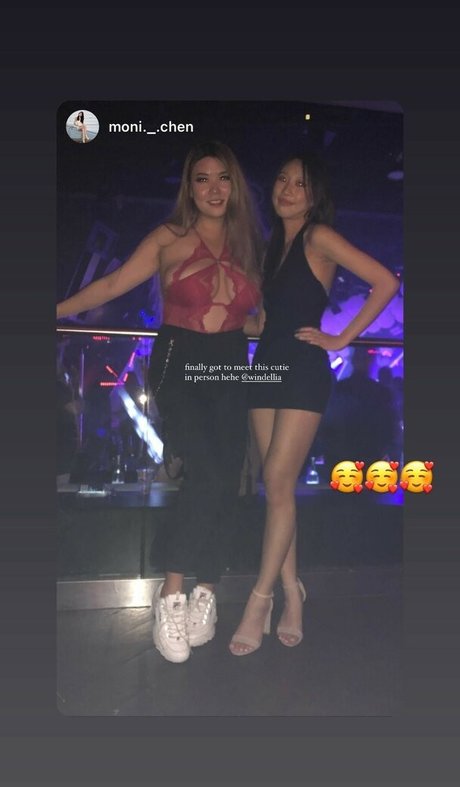 Windellia star du porno hd collection