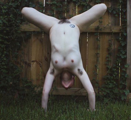 _creature feature modèle meilleur img