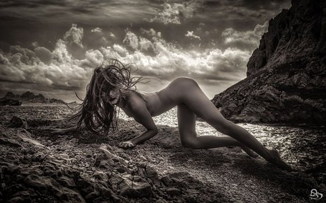 Joeykim modèle gratuit img