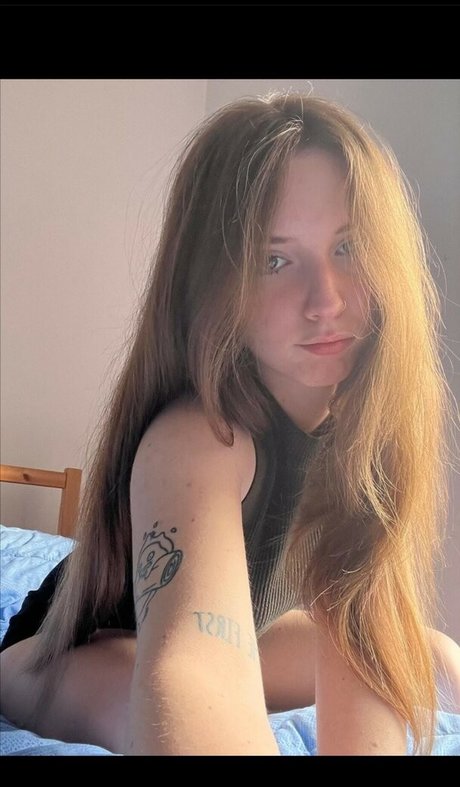 Bianco Svg étoile sympa galeries