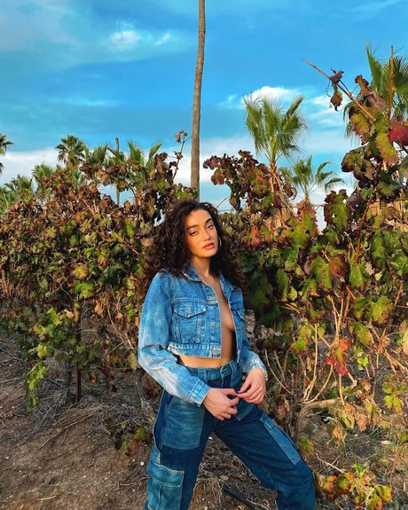 Liraz Nomdar star du porno gratuite photos