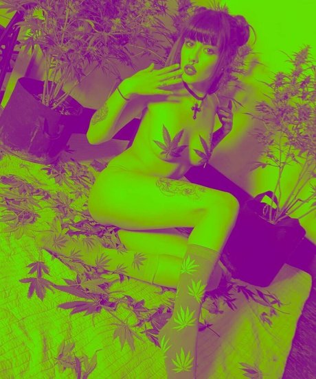 Amethyst queen19 actrice pornographique image