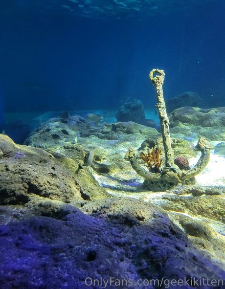 geekikitten modèle chaud photos