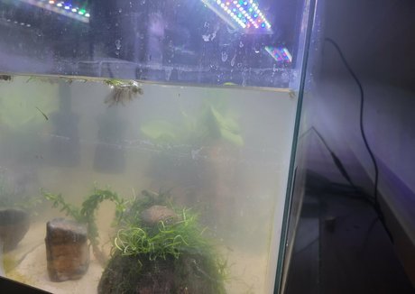 geekikitten actrice sexy archive