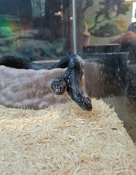 fans de seins et de cul uniquement la plus belle archive