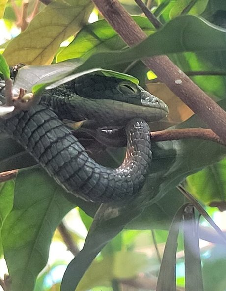 geekikitten modèle xxx photos