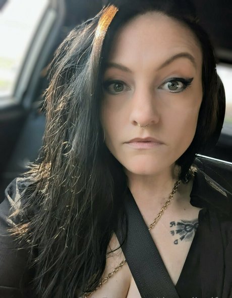 theradicalfox jolie étoile galerie