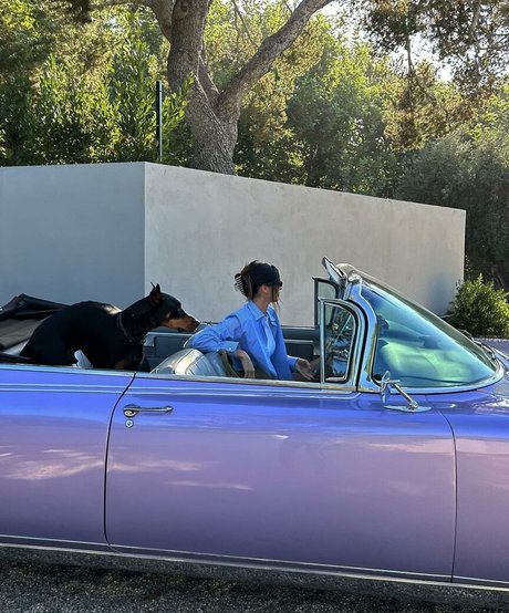 Kendall Jenner jolie étoile img