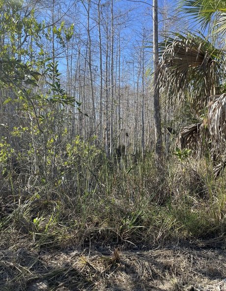 iambigduch star du porno hd photos