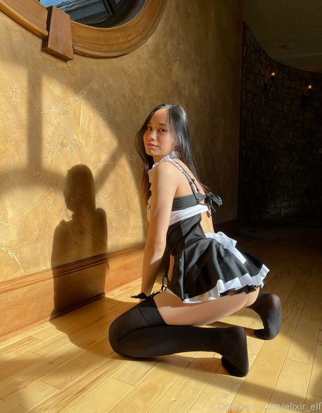 elixir elf modèle de haute qualité des photos