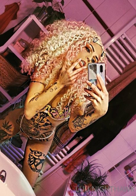 luu nighthawk étoile adulte collection