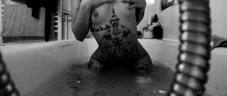 luu nighthawk modèle de haute qualité images