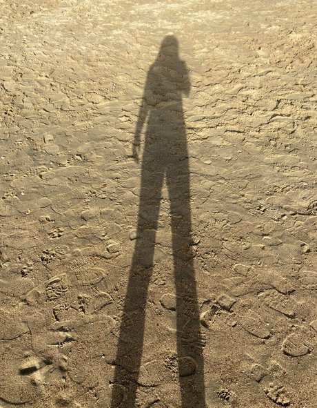 Laura Tobin meilleure star du porno galeries