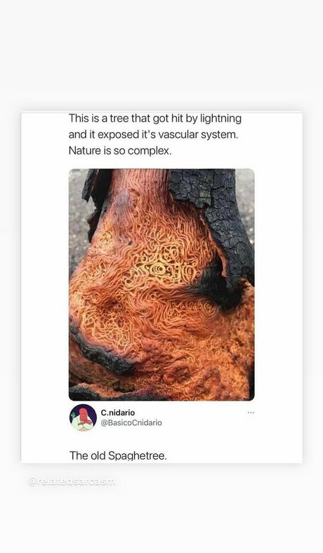 mark magnus420 actrice sexy galerie