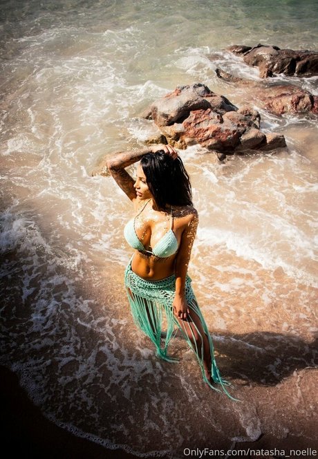 Natasha Noelle étoile xxx collection