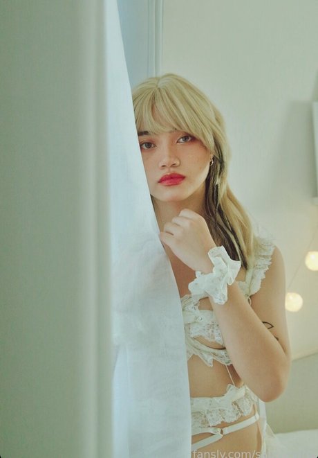 Sab Sangria étoile gratuite photos