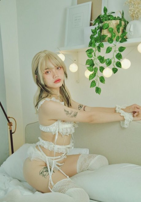 Sab Sangria étoile parfaite des photos