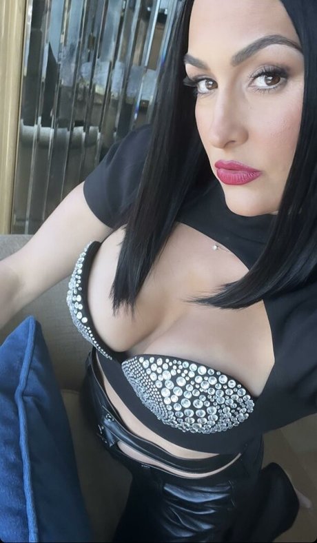 The Bella Twins_ meilleure actrice collection