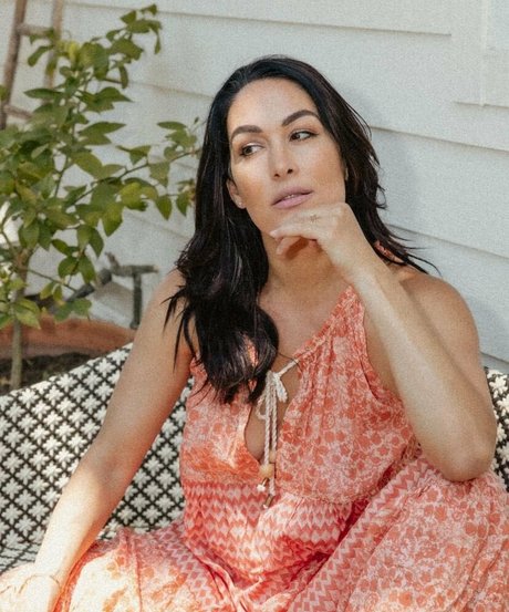 The Bella Twins_ modèles nus galerie