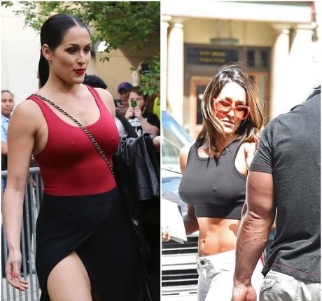 The Bella Twins_ star du porno sexy collection