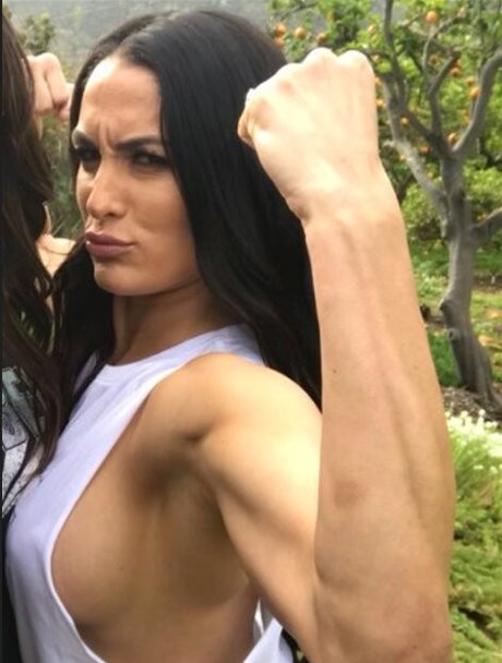 The Bella Twins_ star du porno sexy photos