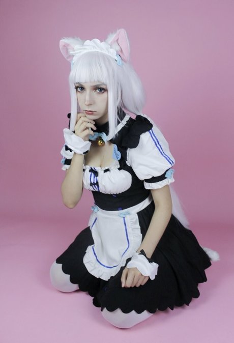 chaton potelé uniquementfans adulte chaud img