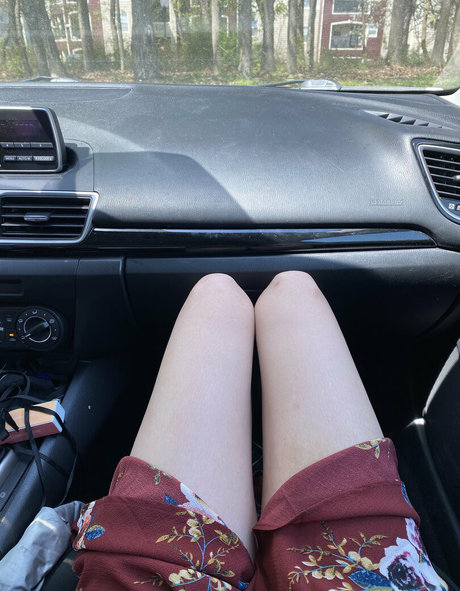 blissfulellie nus étoiles image