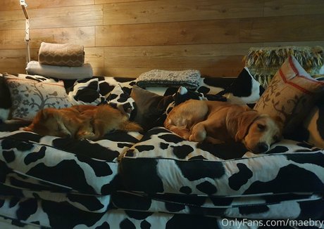 maebry actrice sexy galerie