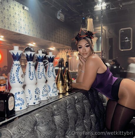 wetkittybri étoile nue galeries