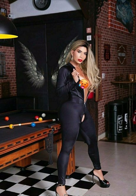 chaton potelé uniquementfans hd sympa galerie