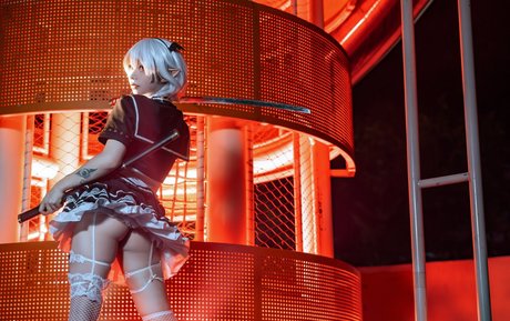 shiliuyelei étoile magnifique photos