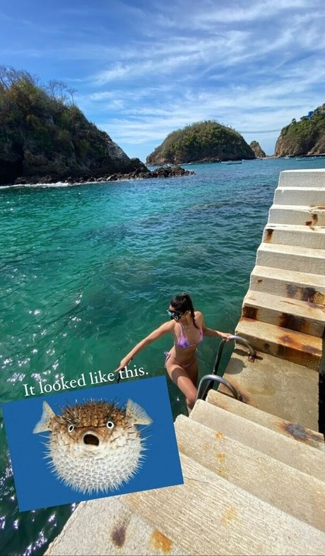 fans de gothique potelé uniquement porno parfait images