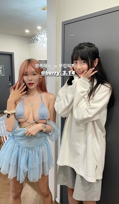 Berry haut étoile collection