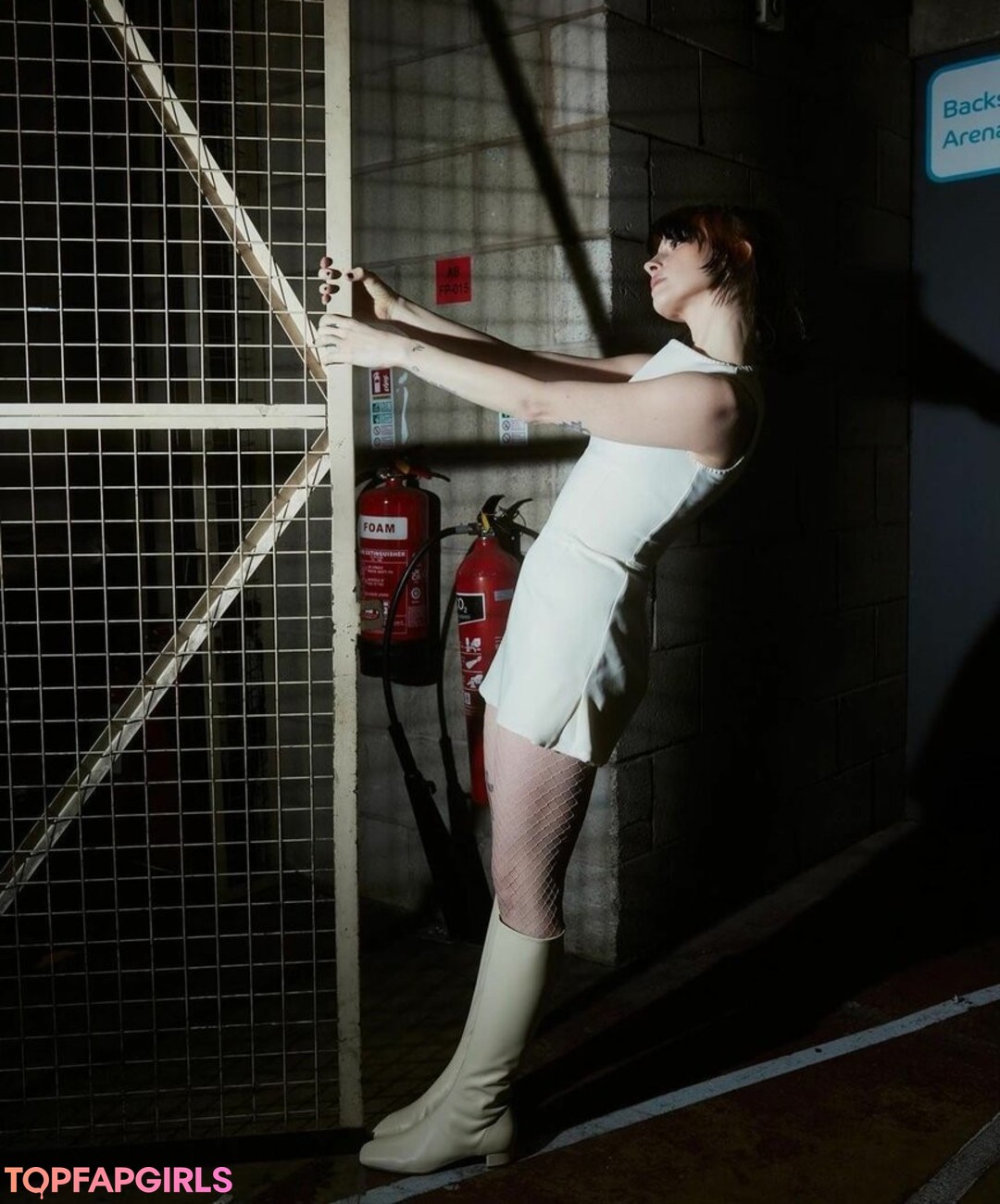 Hayley Williams étoile adulte photo