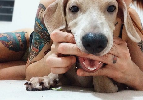 camilaferreirai modèle hd des photos