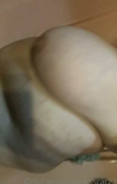 Misscat23 haut modèle image