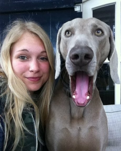 siswetlive nus étoiles des photos