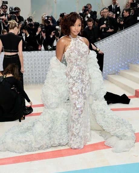 Halle Bailey star du porno de haute qualité image