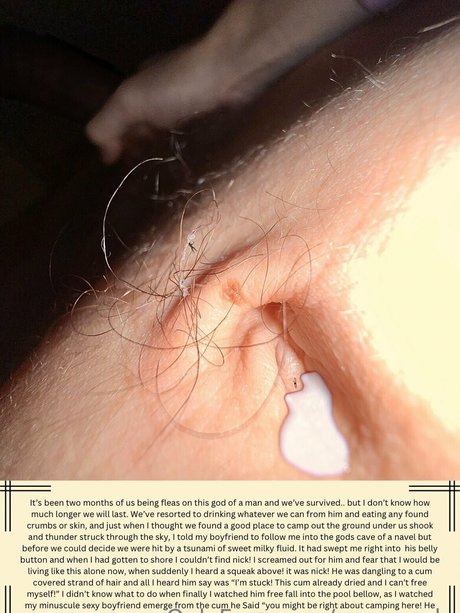 macrocole étoile érotique galeries