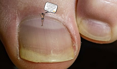 macrocole modèle exclusif images