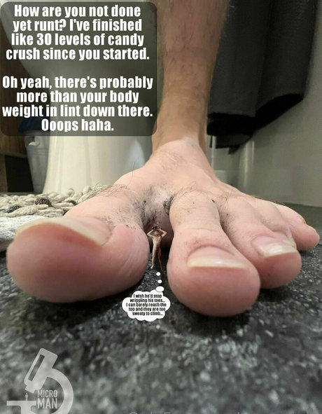 macrocole belle étoile photo